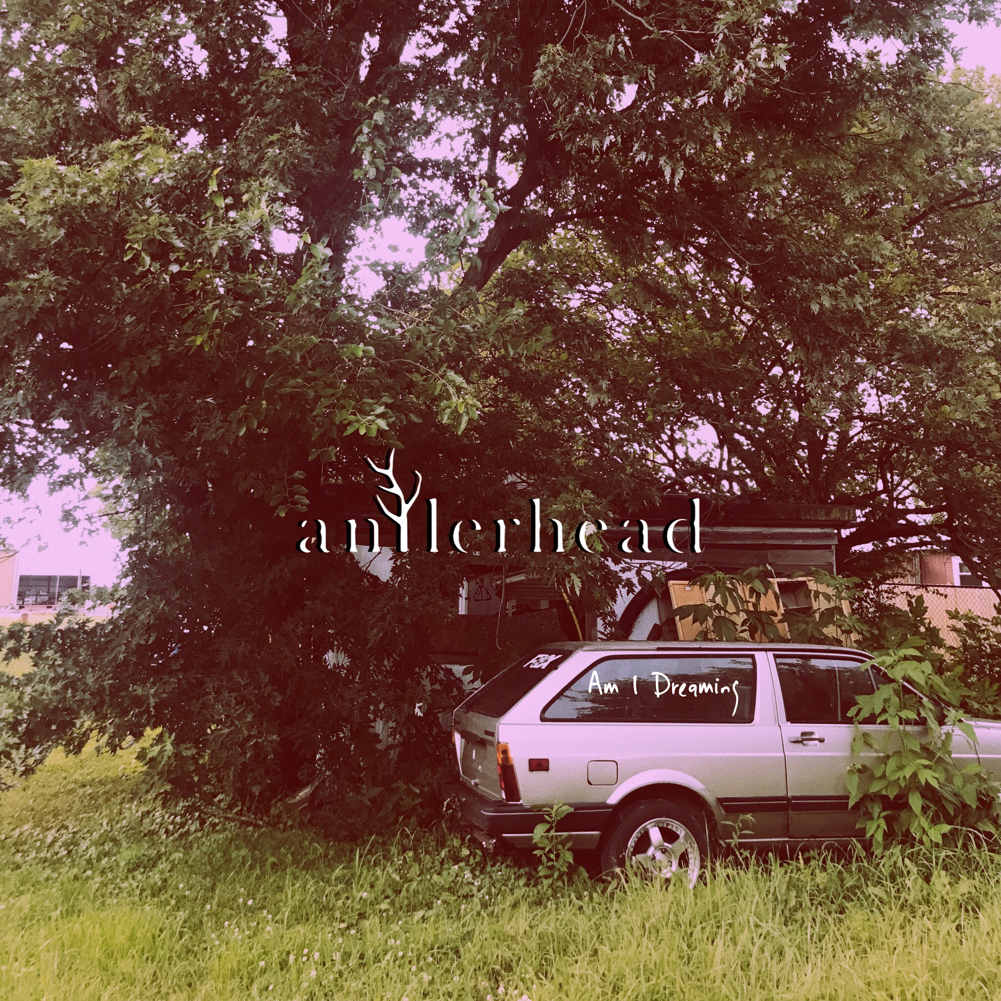 Antlerhead — Photo